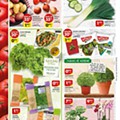 Antevisão Folheto PINGO DOCE Lojas Pequenas Promoções de 19 a 25 maio p6.jpg